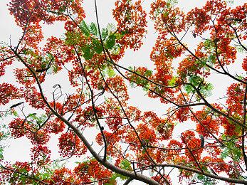 由于实体游戏销量下滑 育碧将关闭欧洲多个办事处