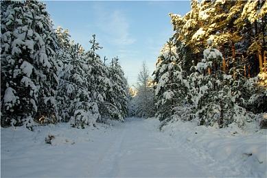 《战壕惊魂》现已正式发售 Steam特别好评